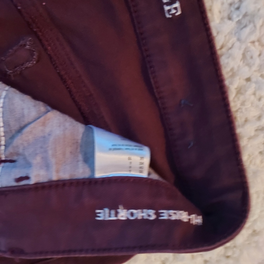 American Eagle Outfitters, size 6, super stretch shorts - Picture 3 of 5